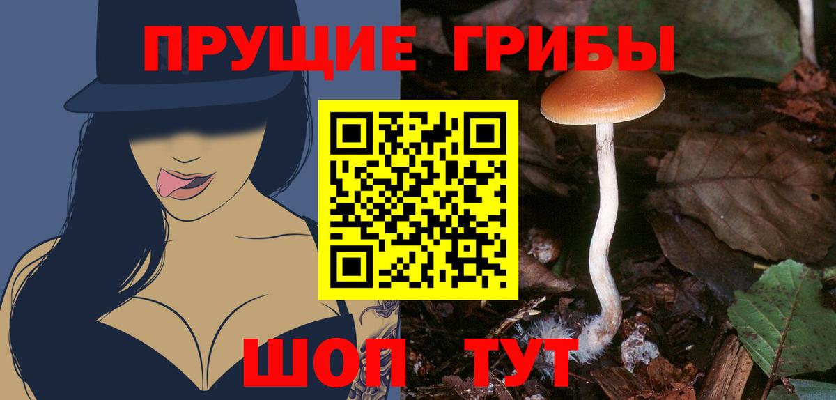 Галлюциногенные грибы мухоморы  Галлюциногенные грибы мухоморы  Сунжа  Вход с VPN 