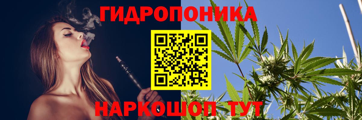 Конопля White Widow Сунжа